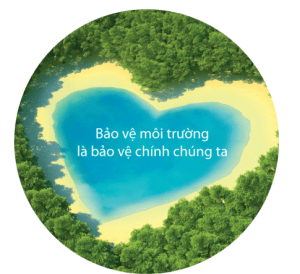 bao ve moi truong.d20d4efe f66c 403e 9d09 6e187bcaeace