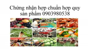 Chứng nhận hợp chuẩn hợp quy sản phẩm scaled