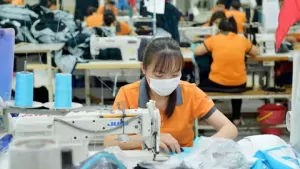 Chứng nhận hợp quy sản phẩm dệt may jpg