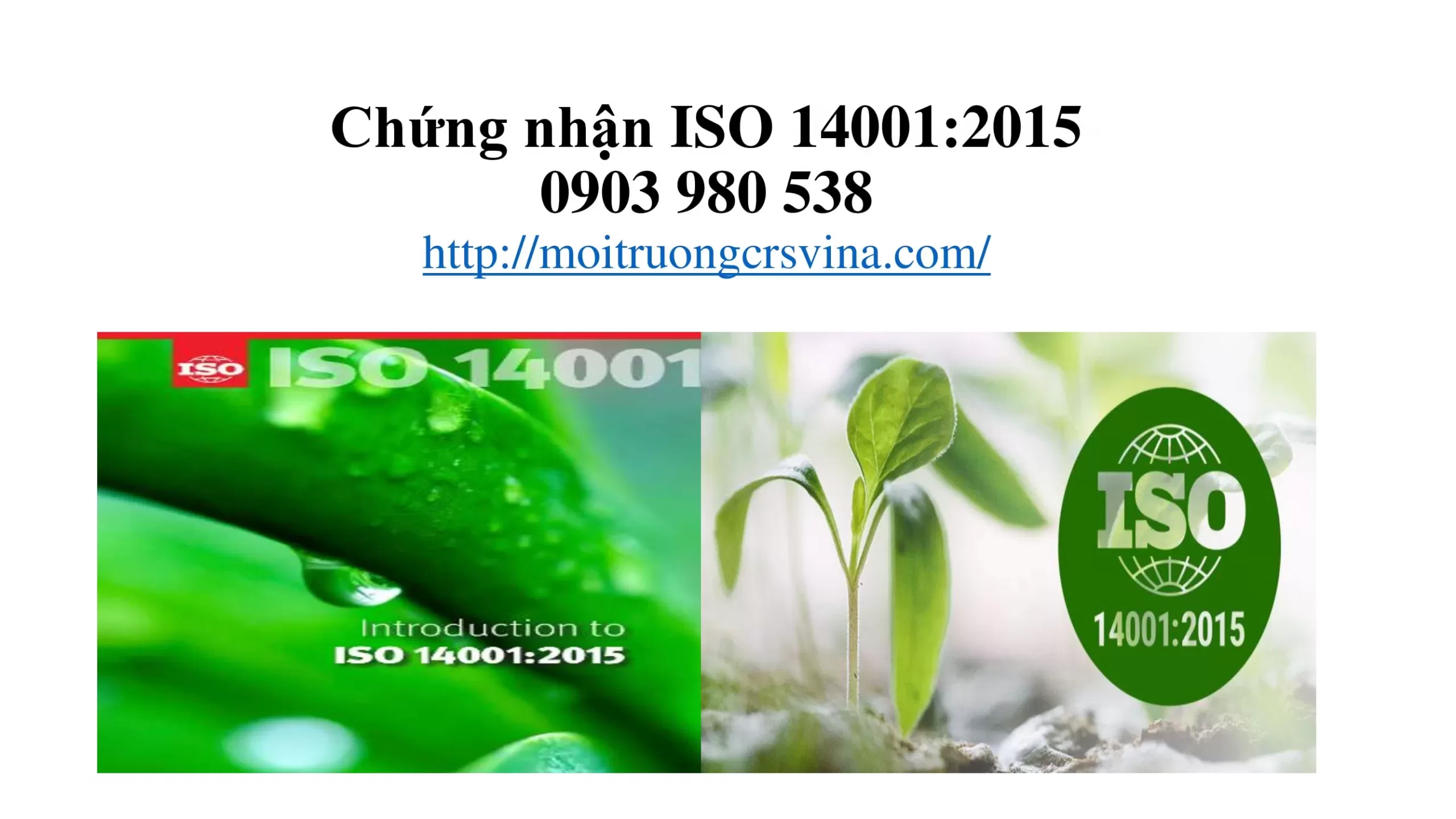 Chứng nhận ISO 14001 scaled
