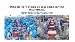 nh giá rủi ro an toàn lao động thủy sản scaled