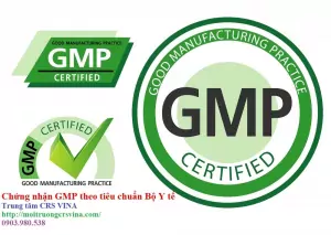 GMP la gi 1 FILEminimizer jpg