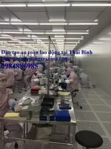 dao tao an toan lao dong tai thai binh jpg