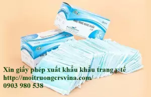 xin giay phep xuat khau khau trang y te jpg