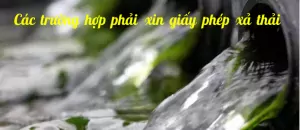 z2338933268137 1000a47ad97d9f11c9c70ac652283ffe jpg