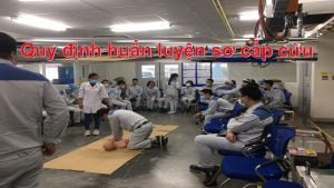 Quy dinh huan luyen so cap cuu