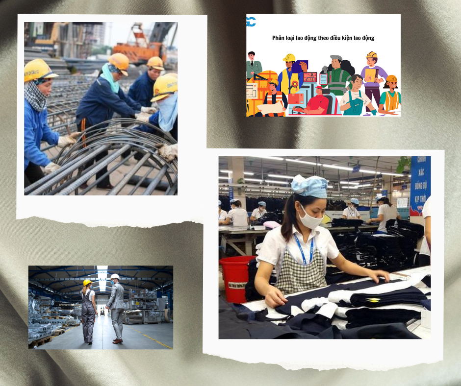 Tư vấn phân loại lao động tại Thái Bình