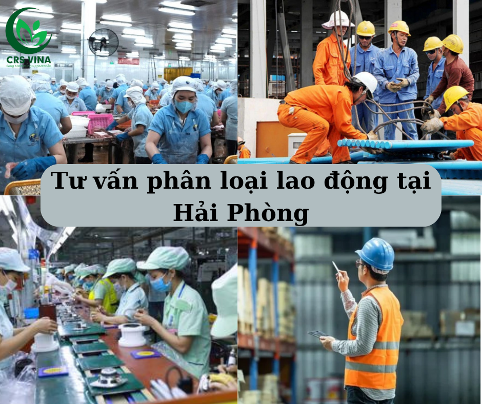 Tư vấn phân loại lao động tại Hải Phòng 2 Tư vấn phân loại lao động tại Hải Phòng