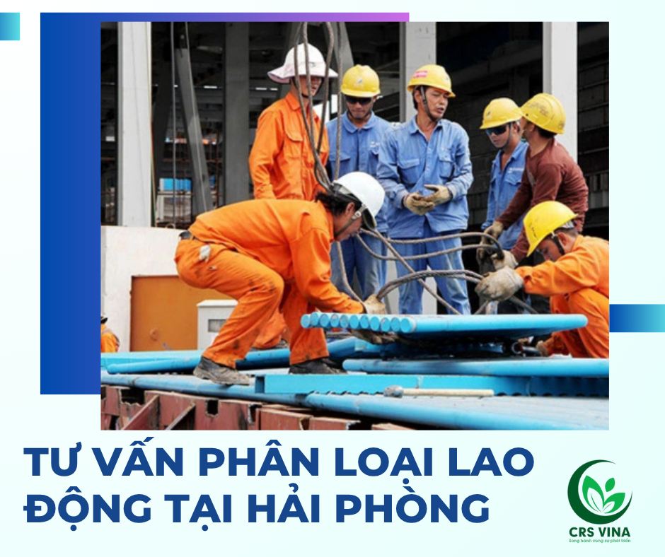 Tư vấn phân loại lao động tại Hải Phòng 1 Tư vấn phân loại lao động tại Hải Phòng