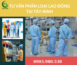 Tư vấn phân loại lao động tại Tây Ninh
