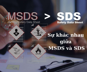 Sự khác nhau giữa MSDS và SDS