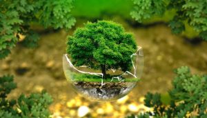 phương án phục hồi môi trường sau sự cố